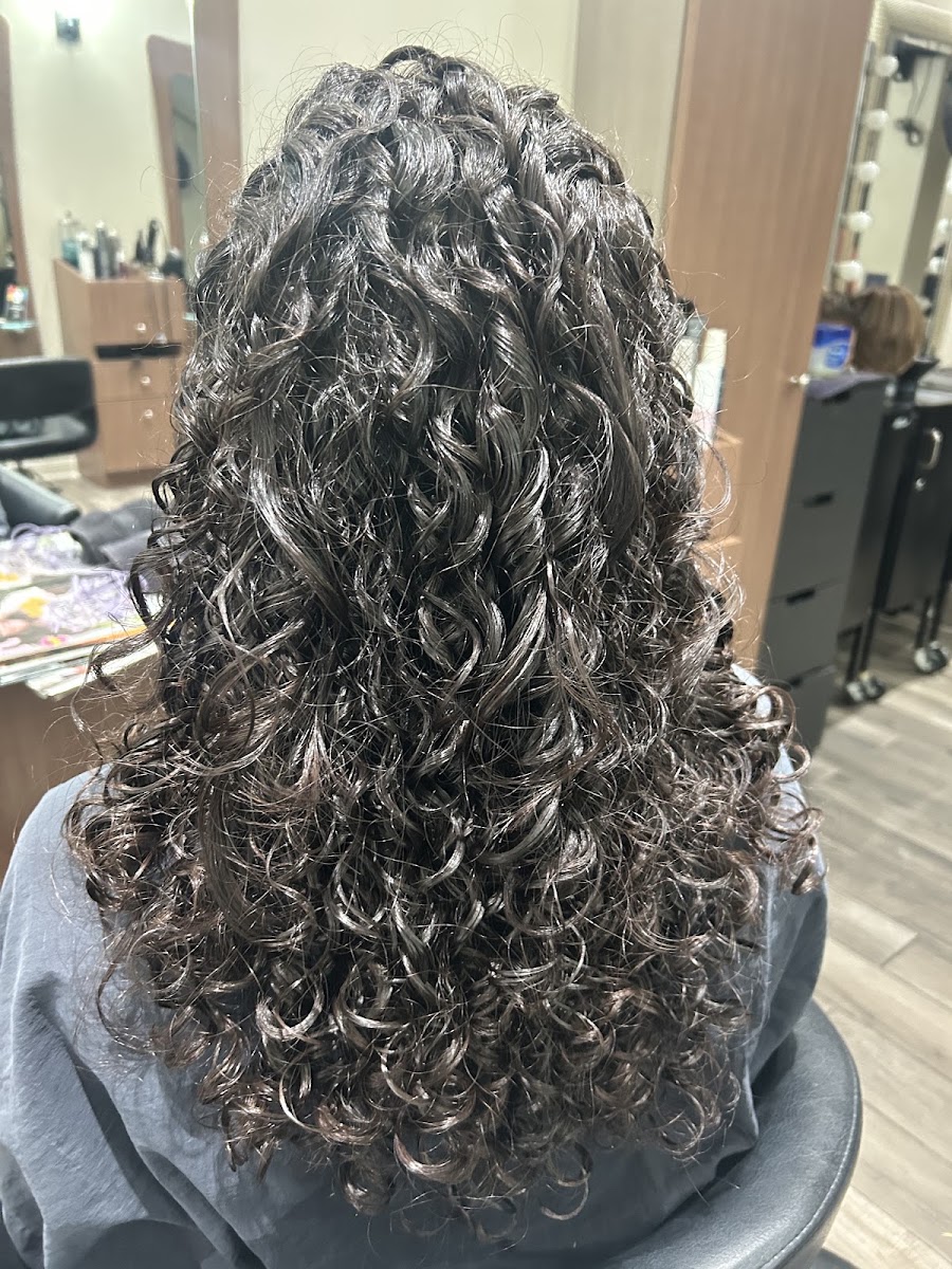 Shazam Hair Studio Ltd