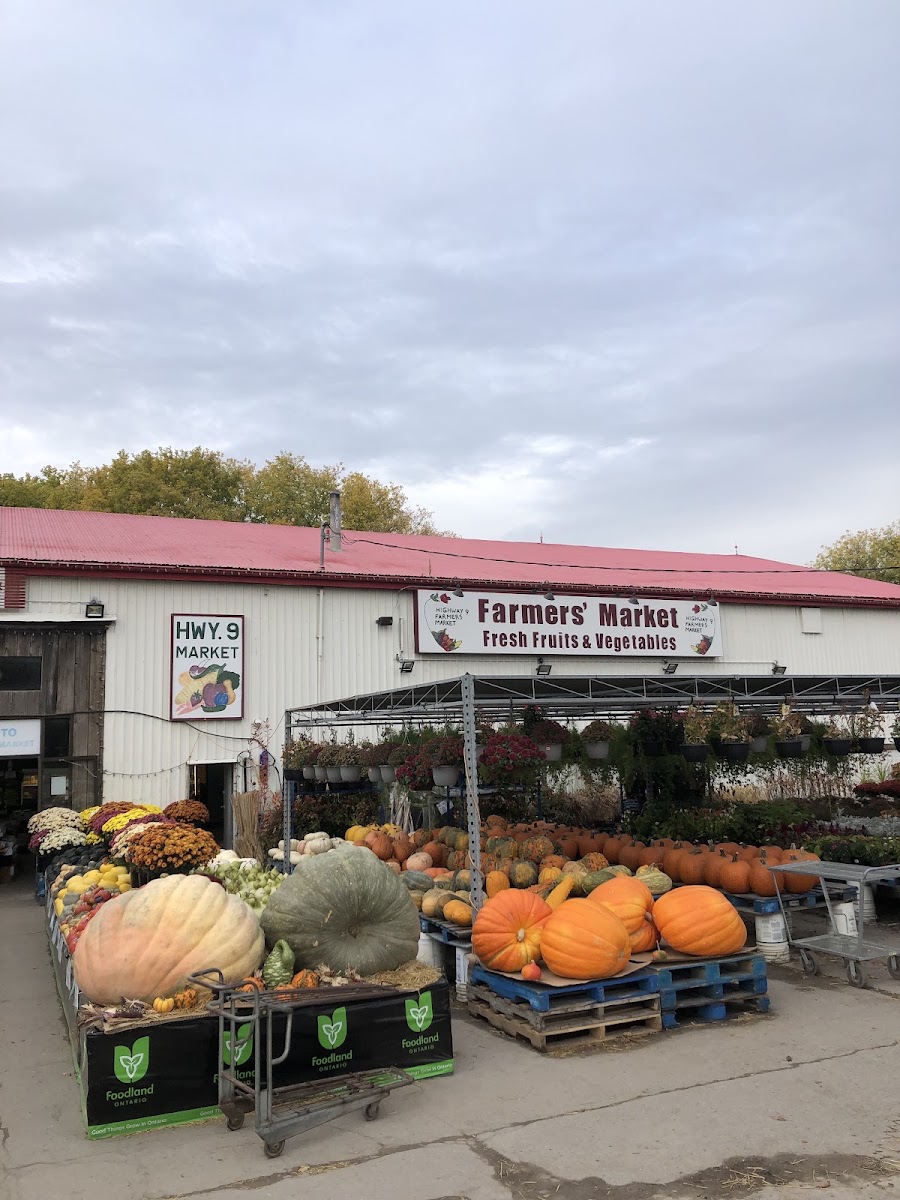 Highway 9 Farmers Market