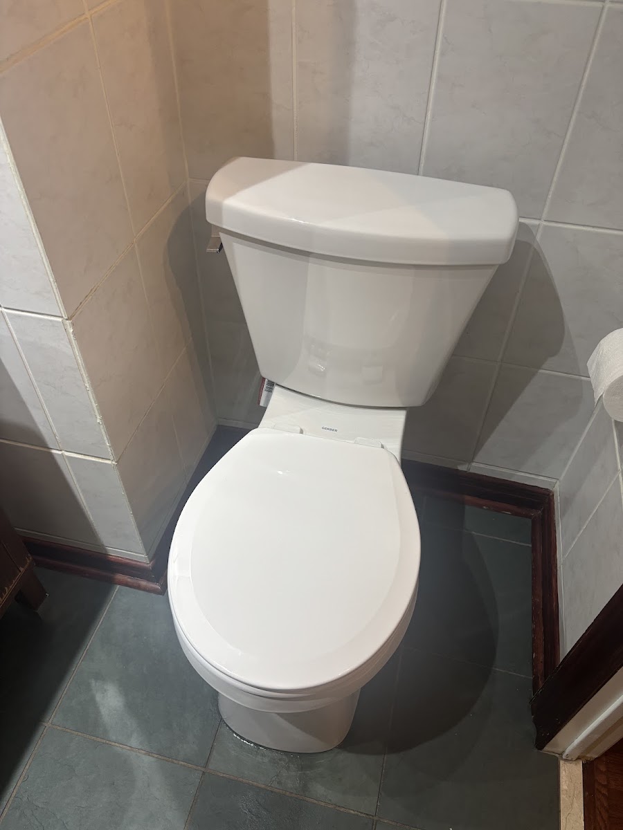 Ace Plumbing Services - Toronto Plumber