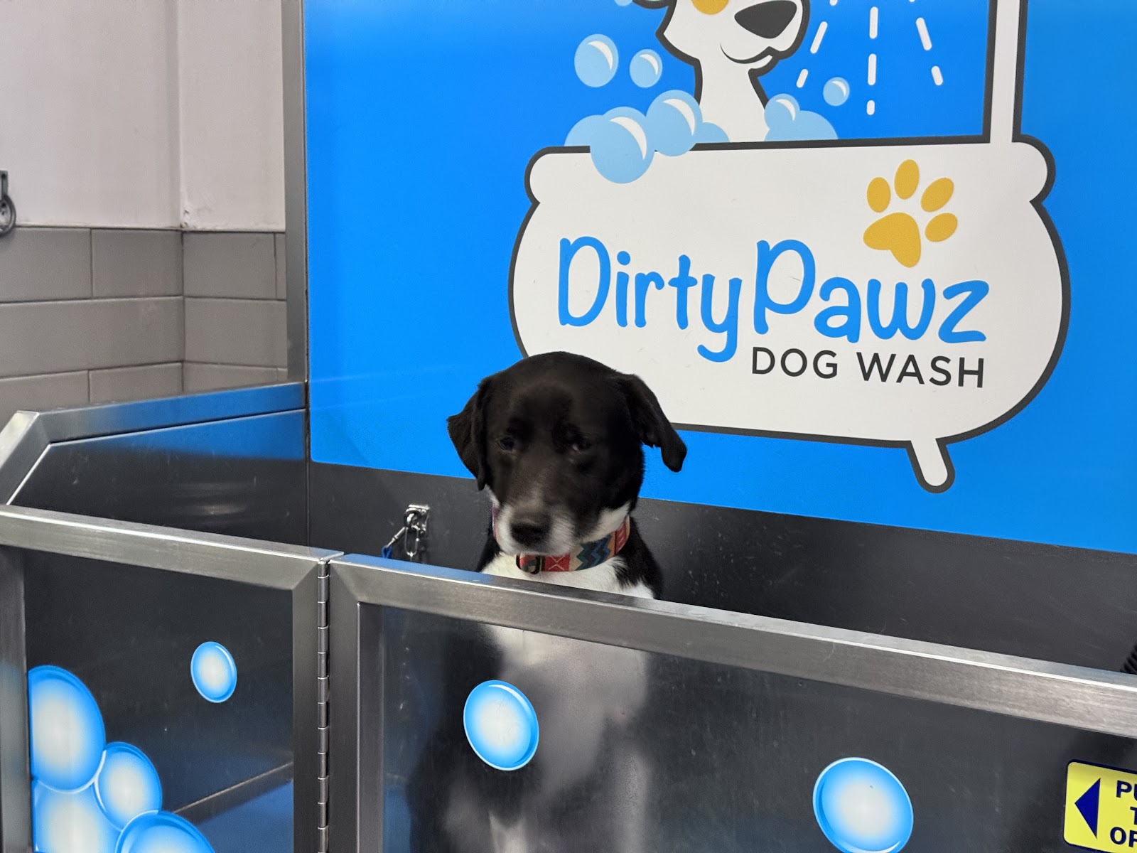 Dirty Pawz Self-Serve Dog Wash