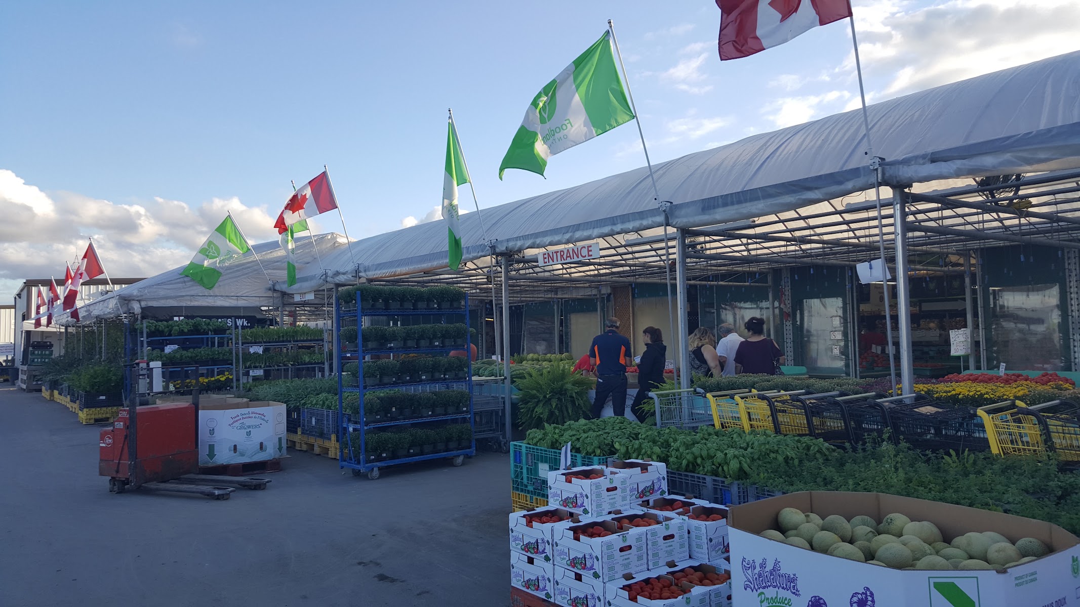 Best Farmers' Market in Ontario