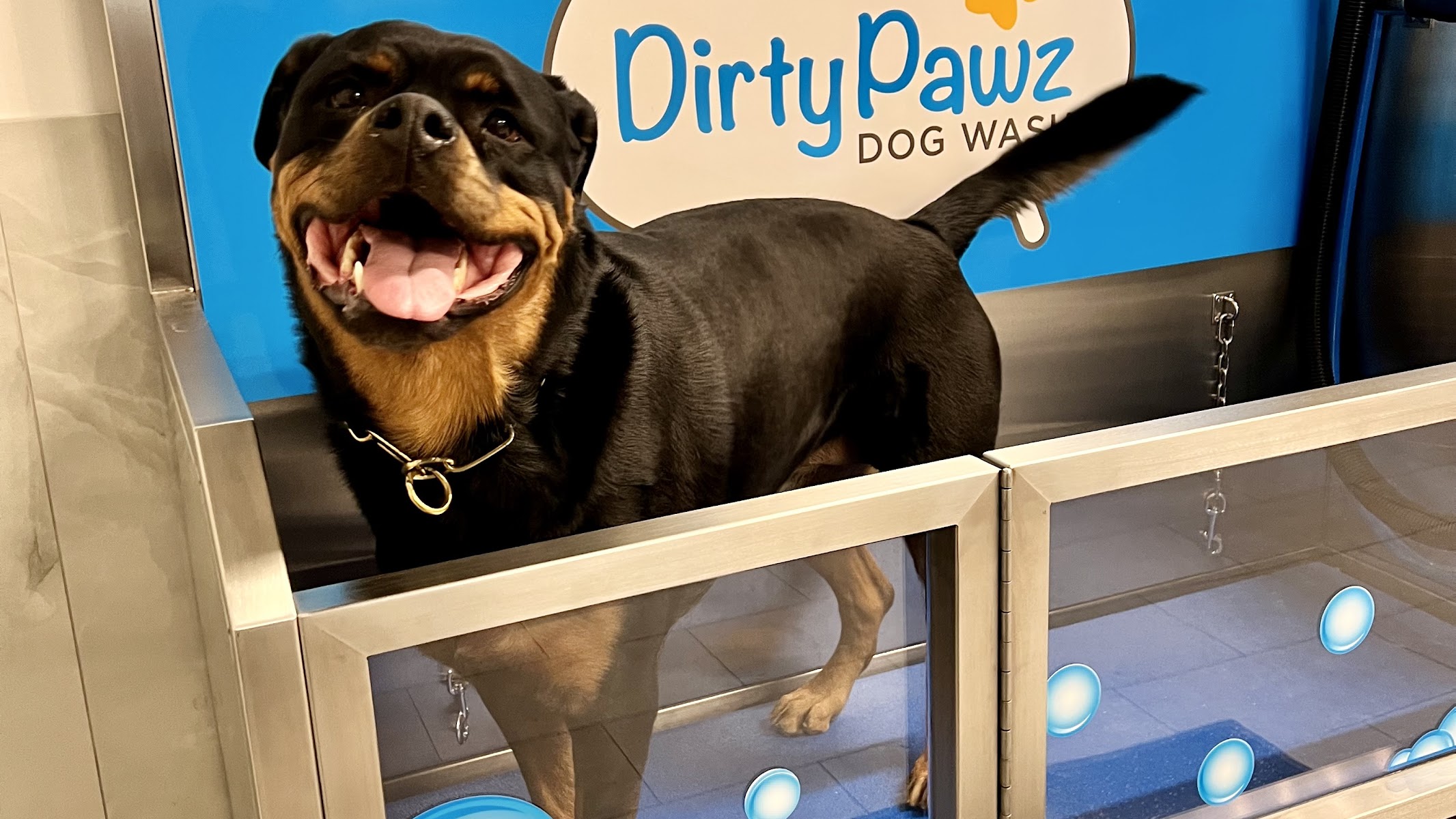 Dirty Pawz Self-Serve Dog Wash