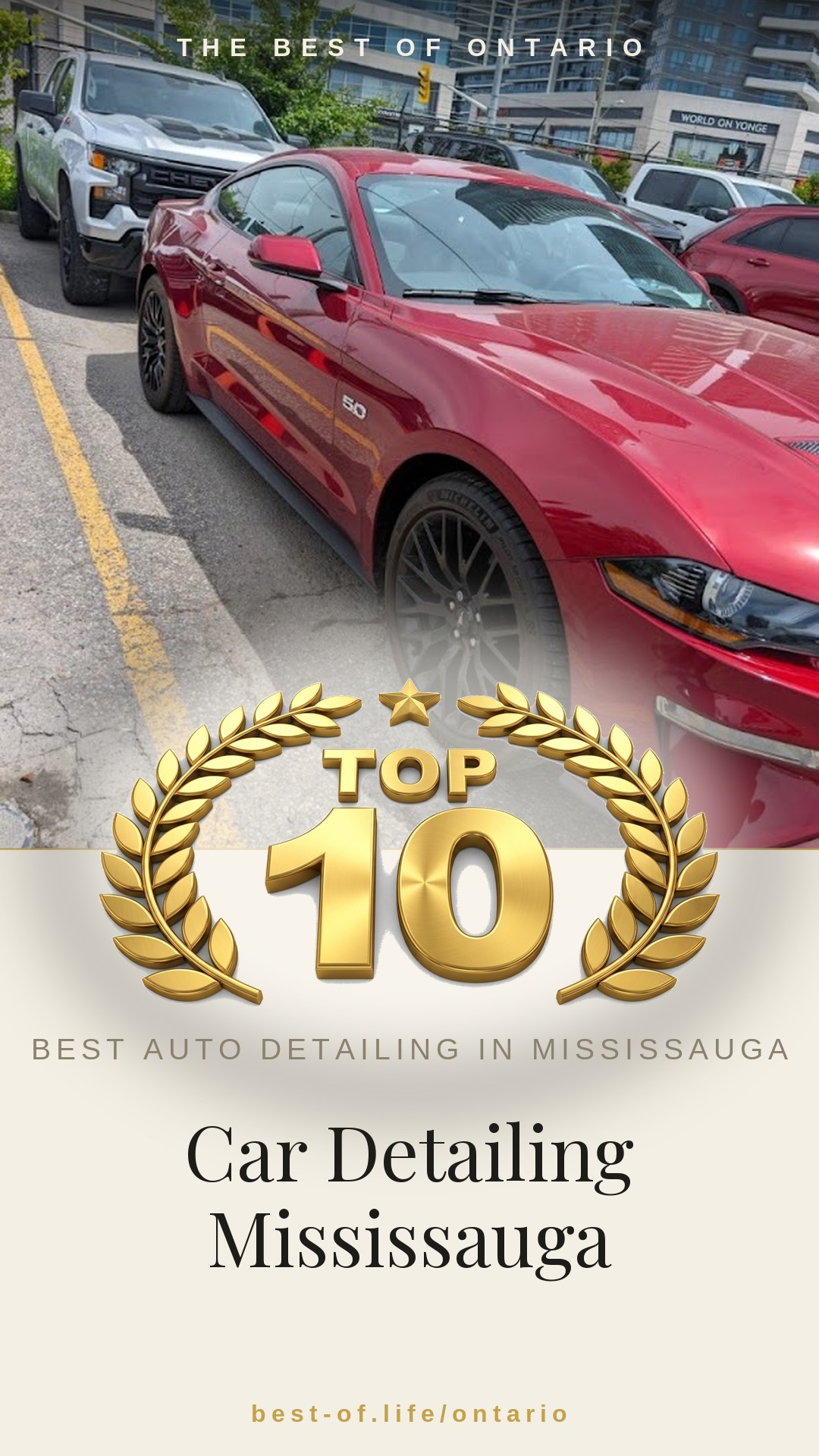 Car Detailing Mississauga Instagram badge