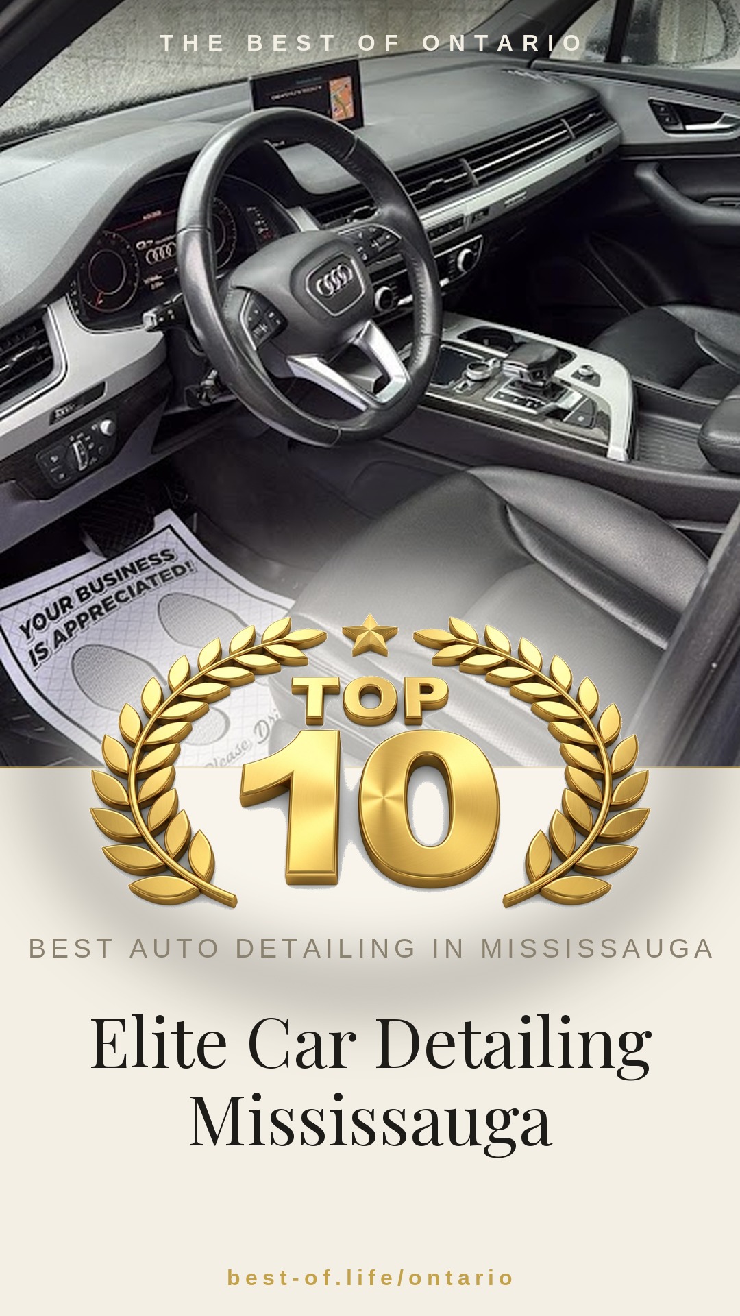 Elite Car Detailing Mississauga Instagram badge