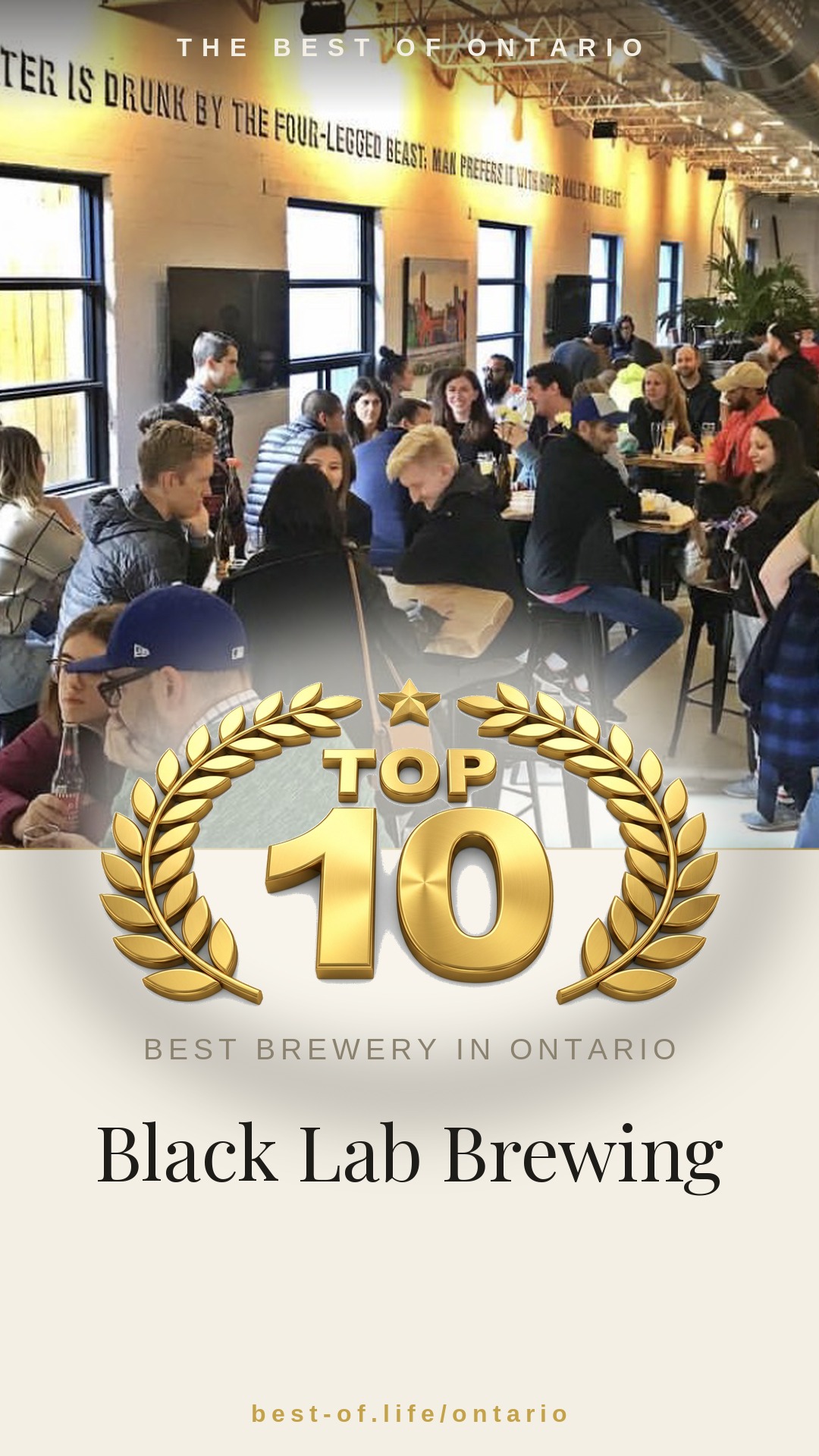 Black Lab Brewing Instagram badge