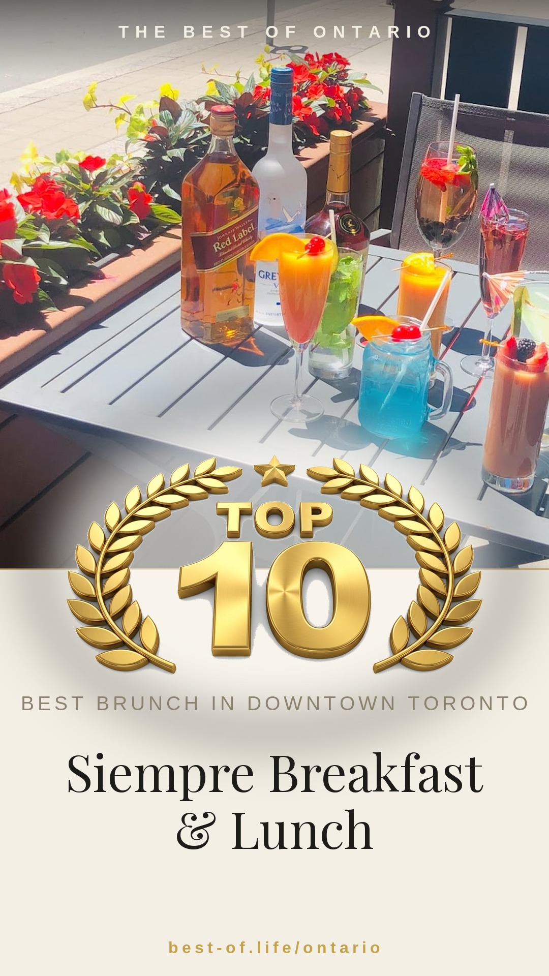 Siempre Breakfast & Lunch Instagram badge