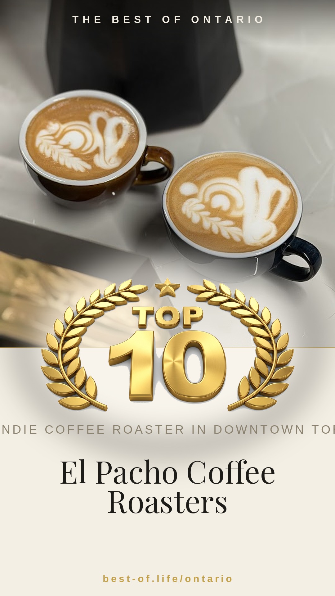 El Pacho Coffee Roasters Instagram badge