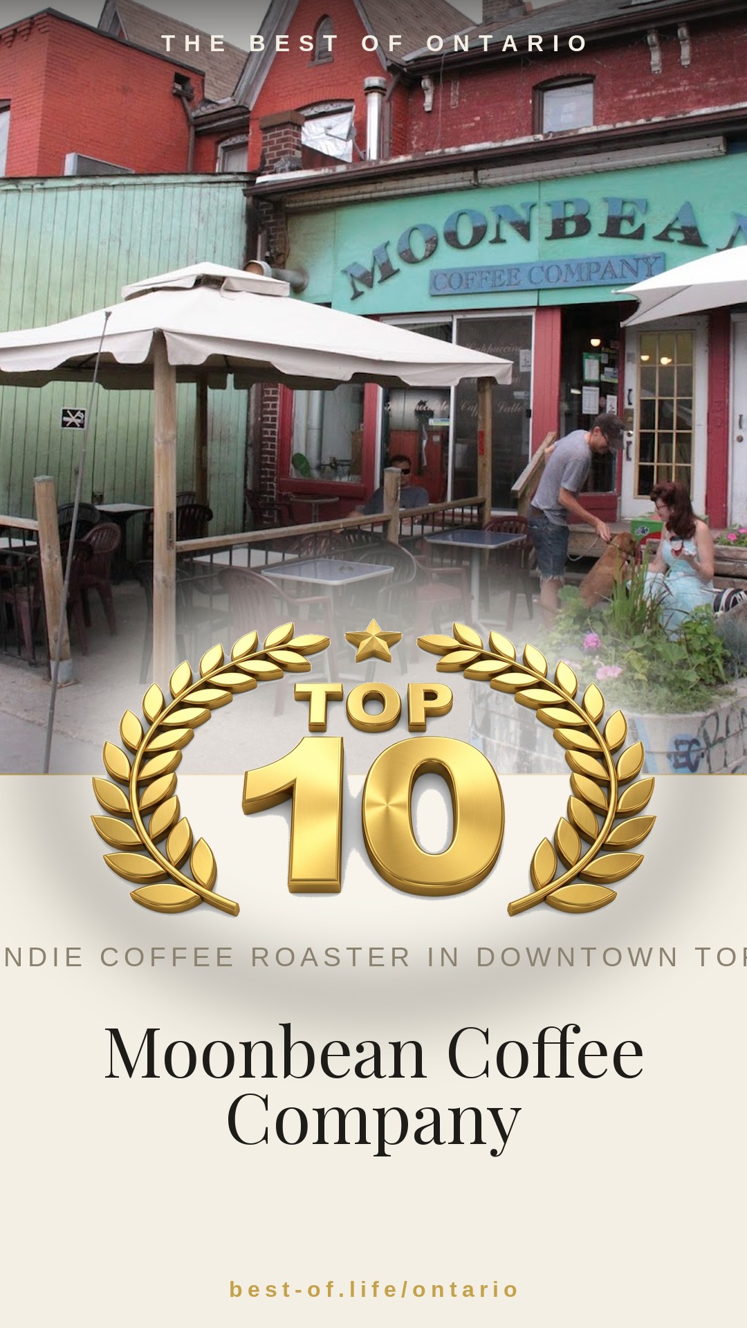Moonbean Coffee Company Instagram badge