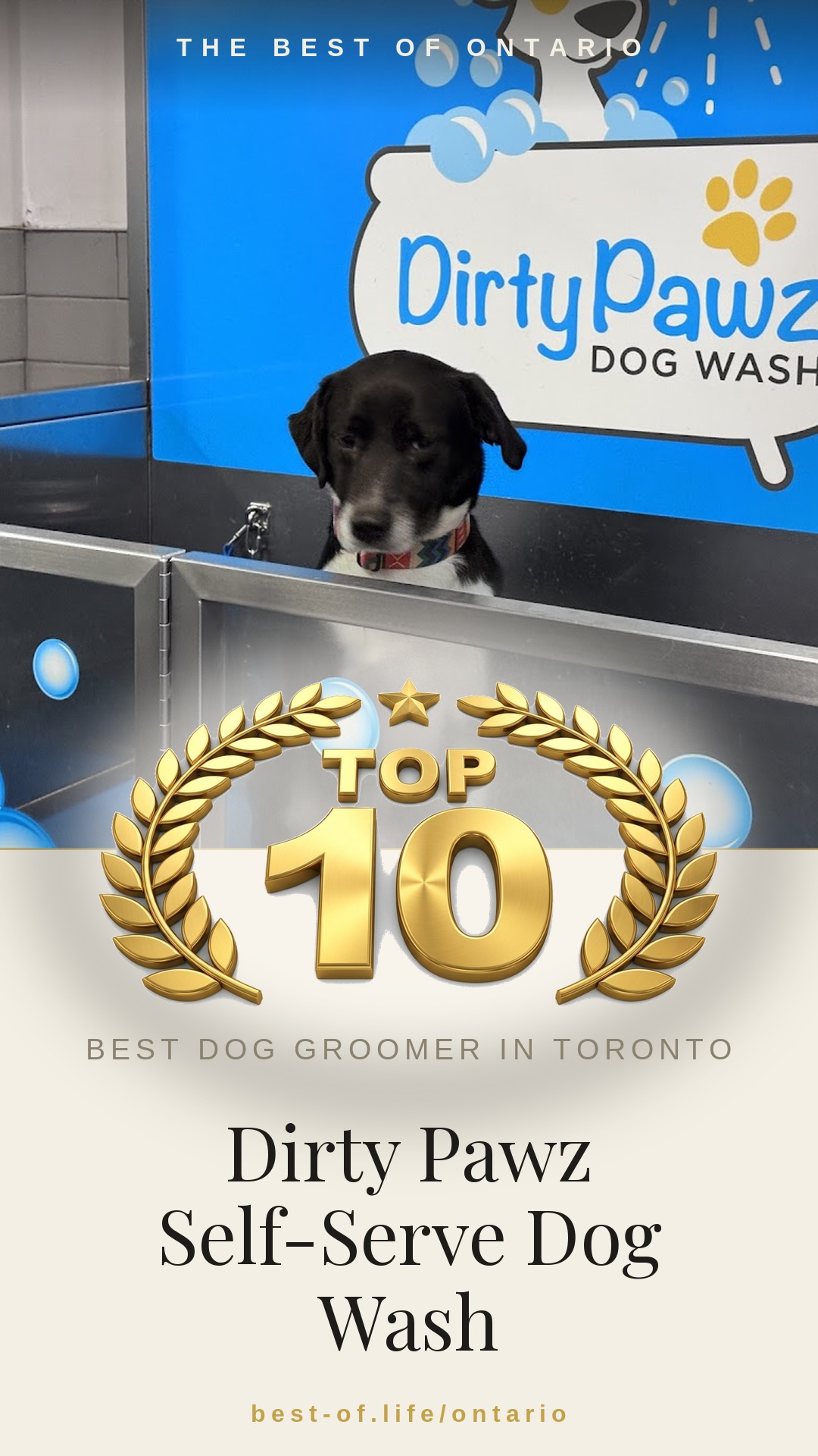 Dirty Pawz Self-Serve Dog Wash Instagram badge