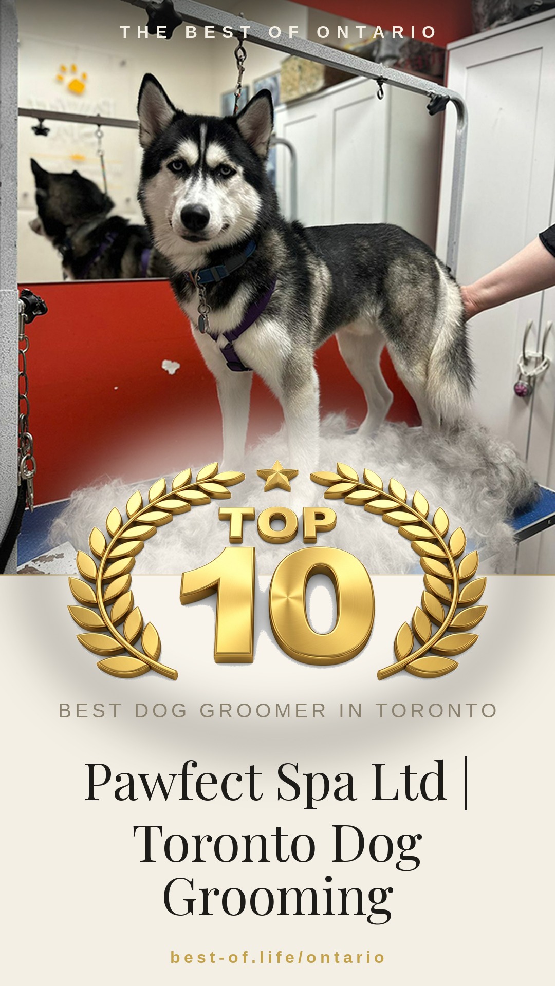Pawfect Spa Ltd | Toronto Dog Grooming Instagram badge