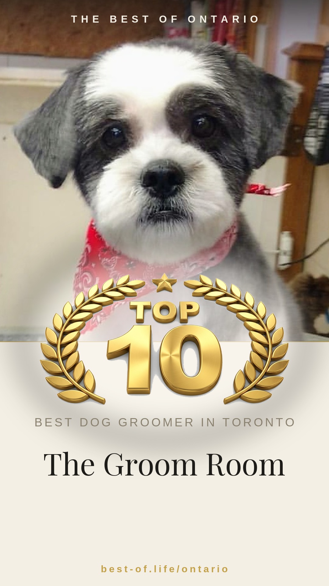 The Groom Room Instagram badge
