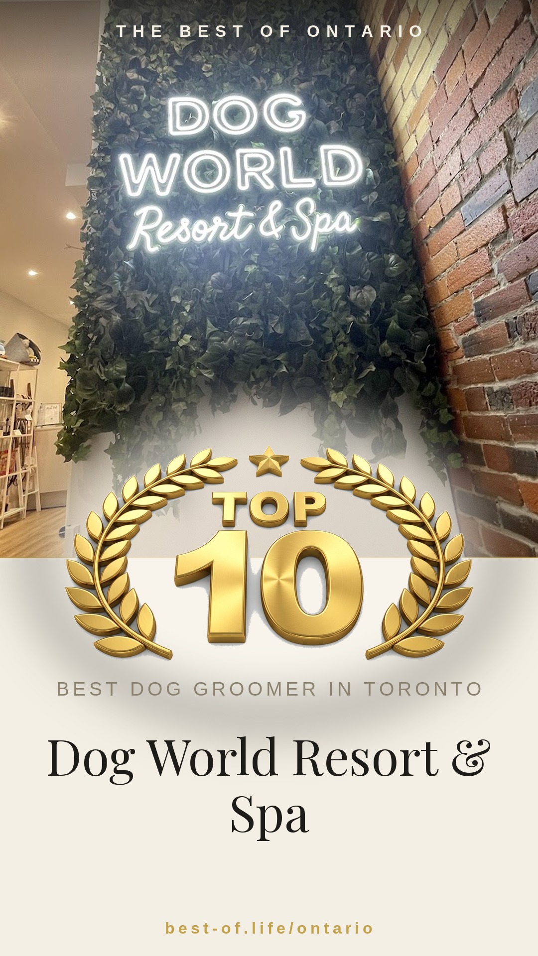 Dog World Resort & Spa Instagram badge