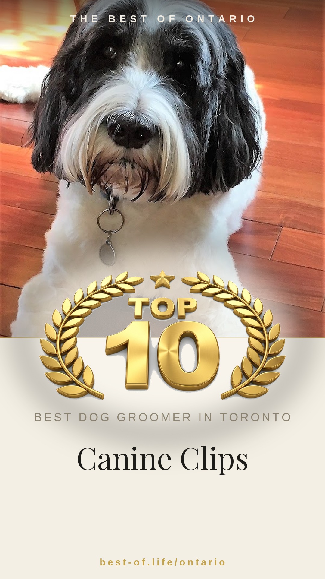 Canine Clips Instagram badge