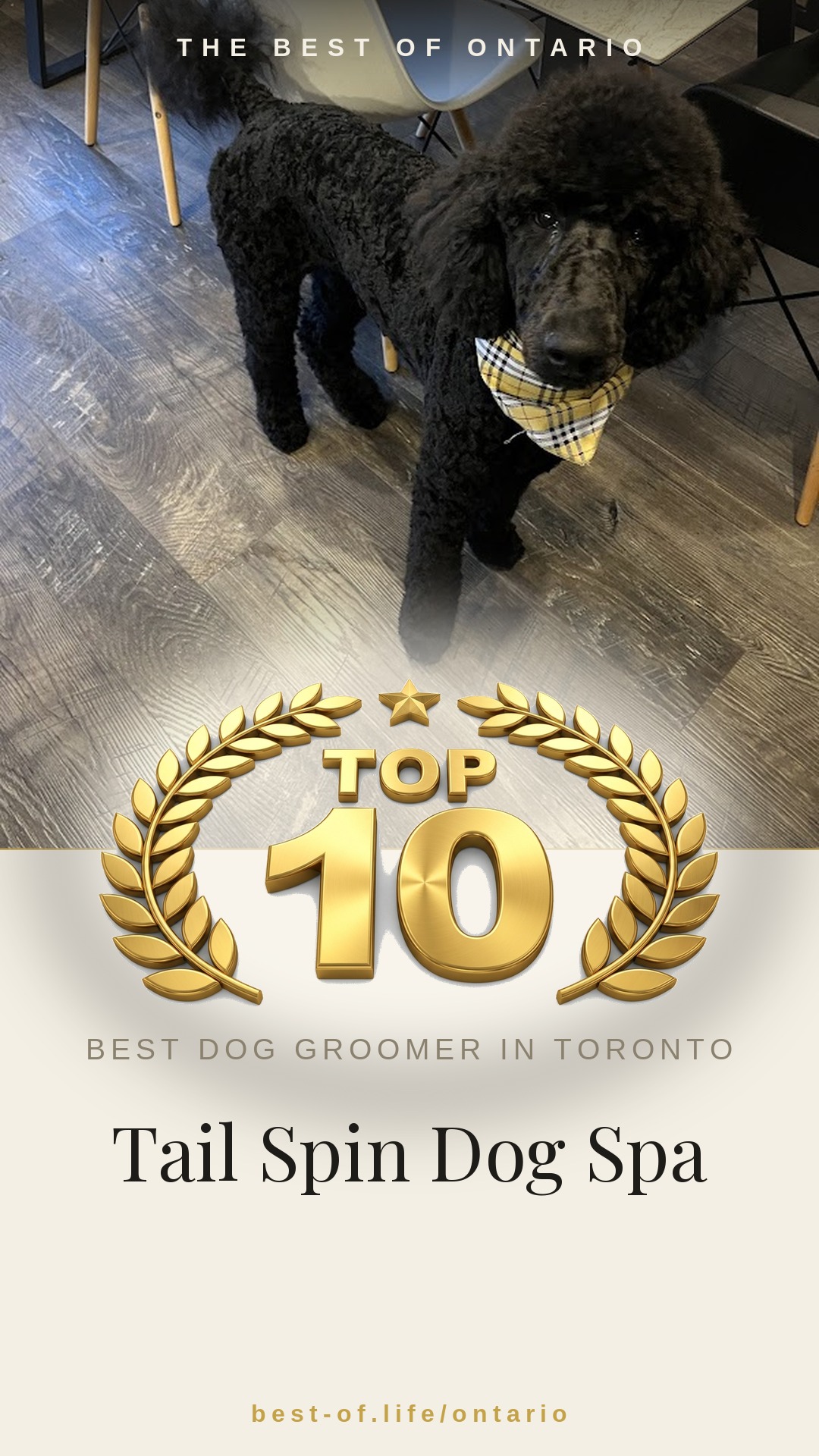 Tail Spin Dog Spa Instagram badge