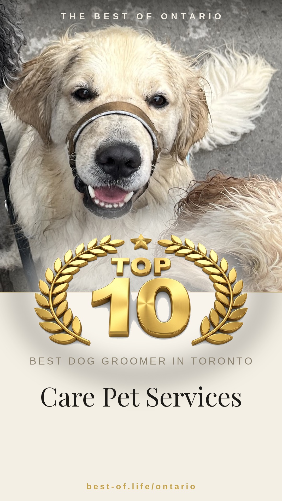 Care Pet Services Instagram badge