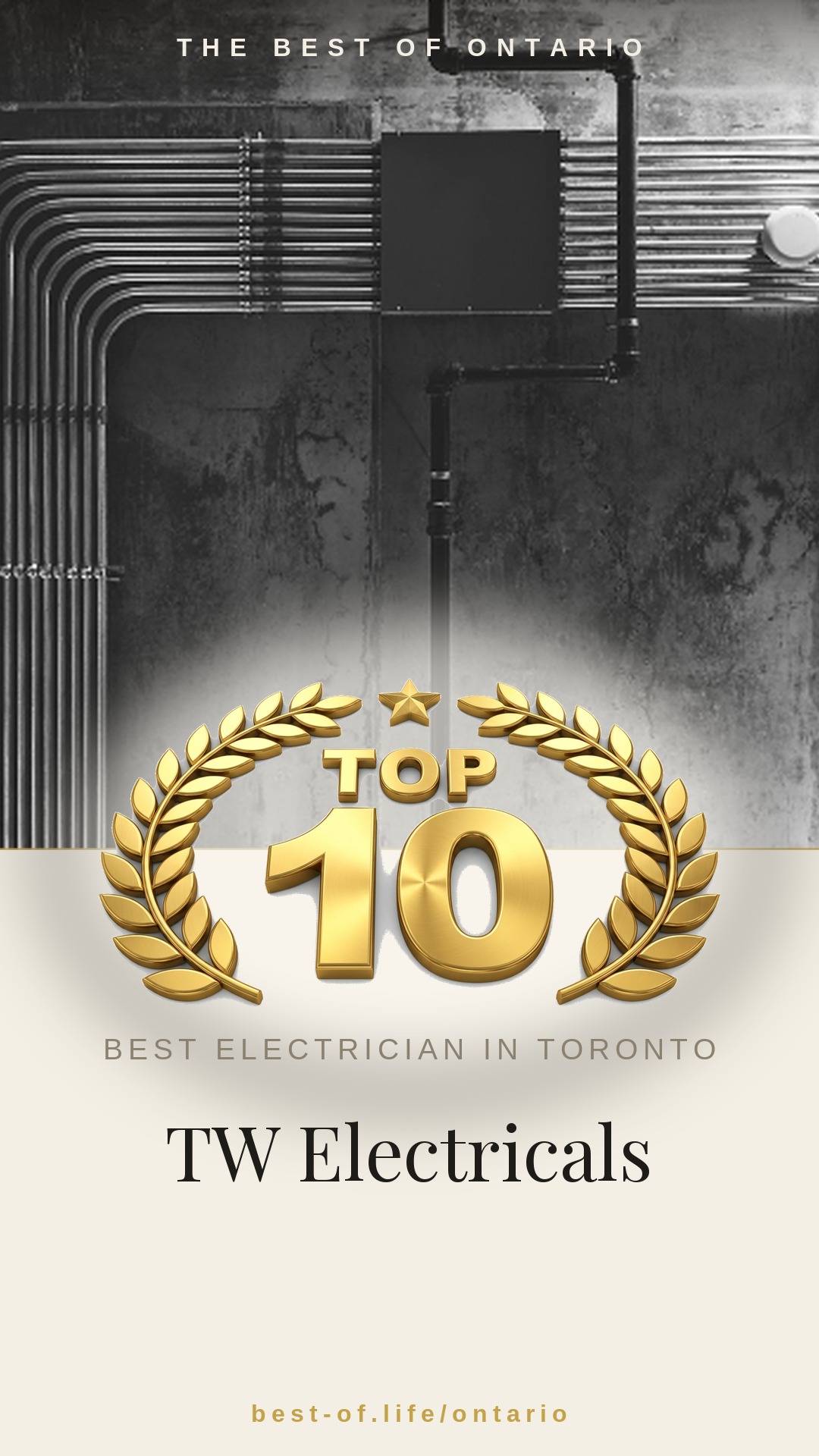 TW Electricals Instagram badge