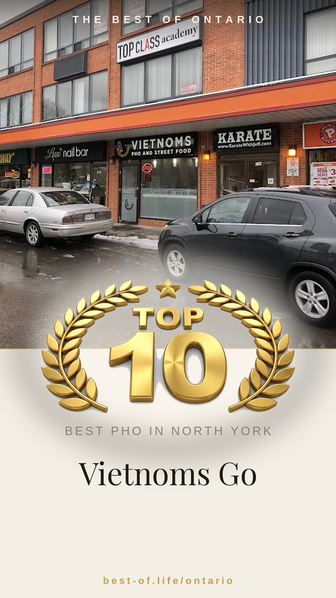 Vietnoms Go Instagram badge