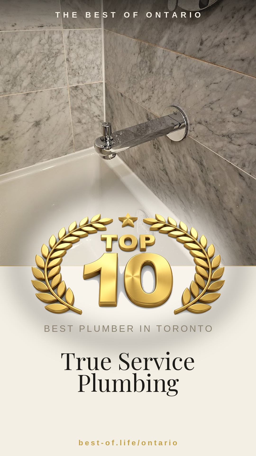 True Service Plumbing Instagram badge