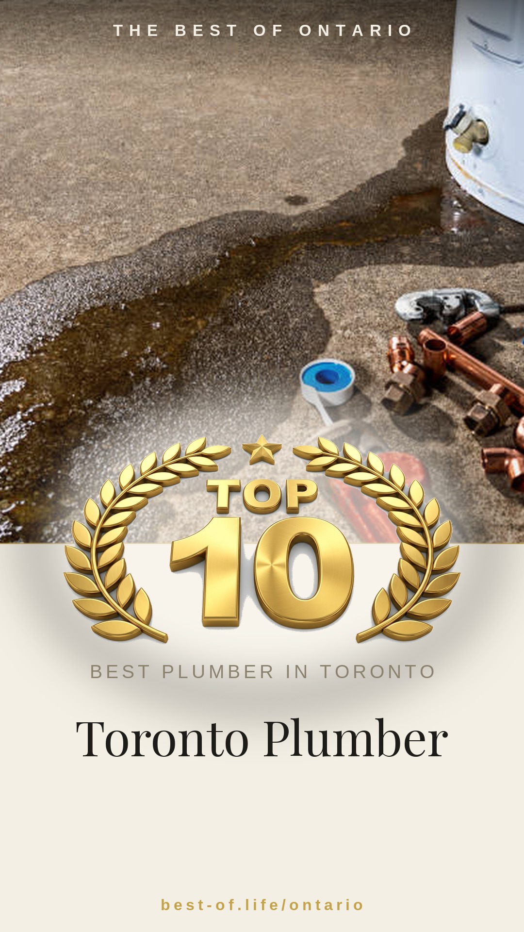 Toronto Plumber Instagram badge