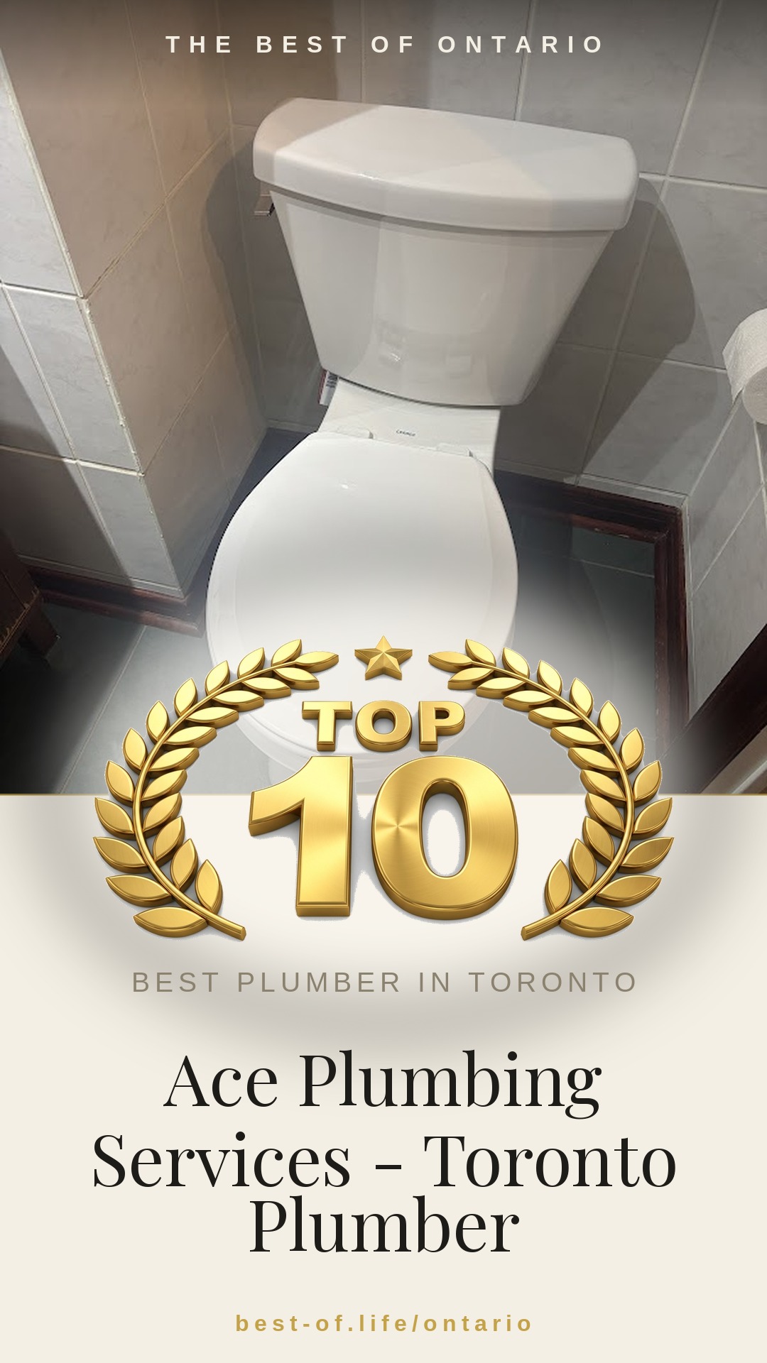 Ace Plumbing Services - Toronto Plumber Instagram badge