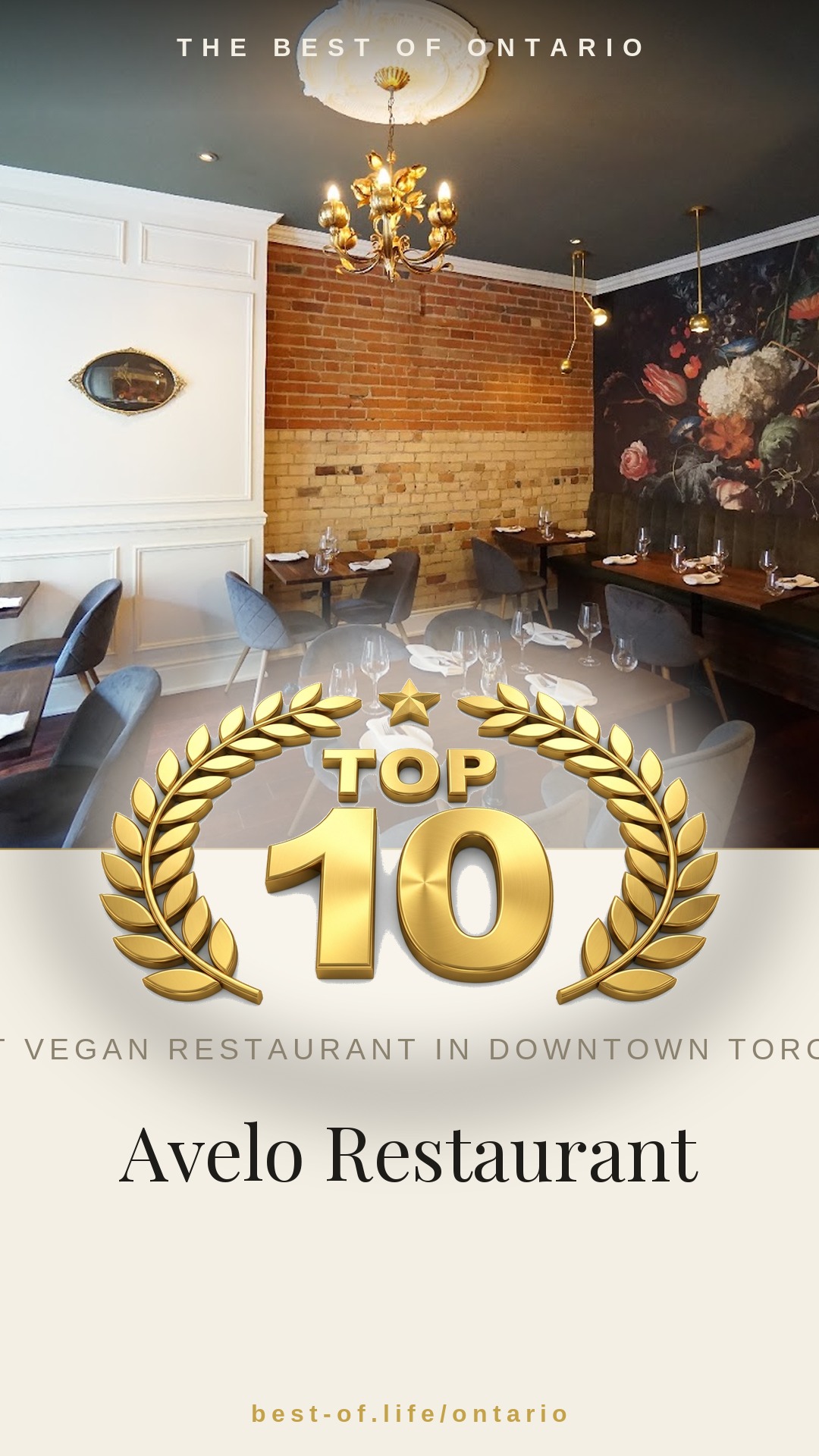 Avelo Restaurant Instagram badge