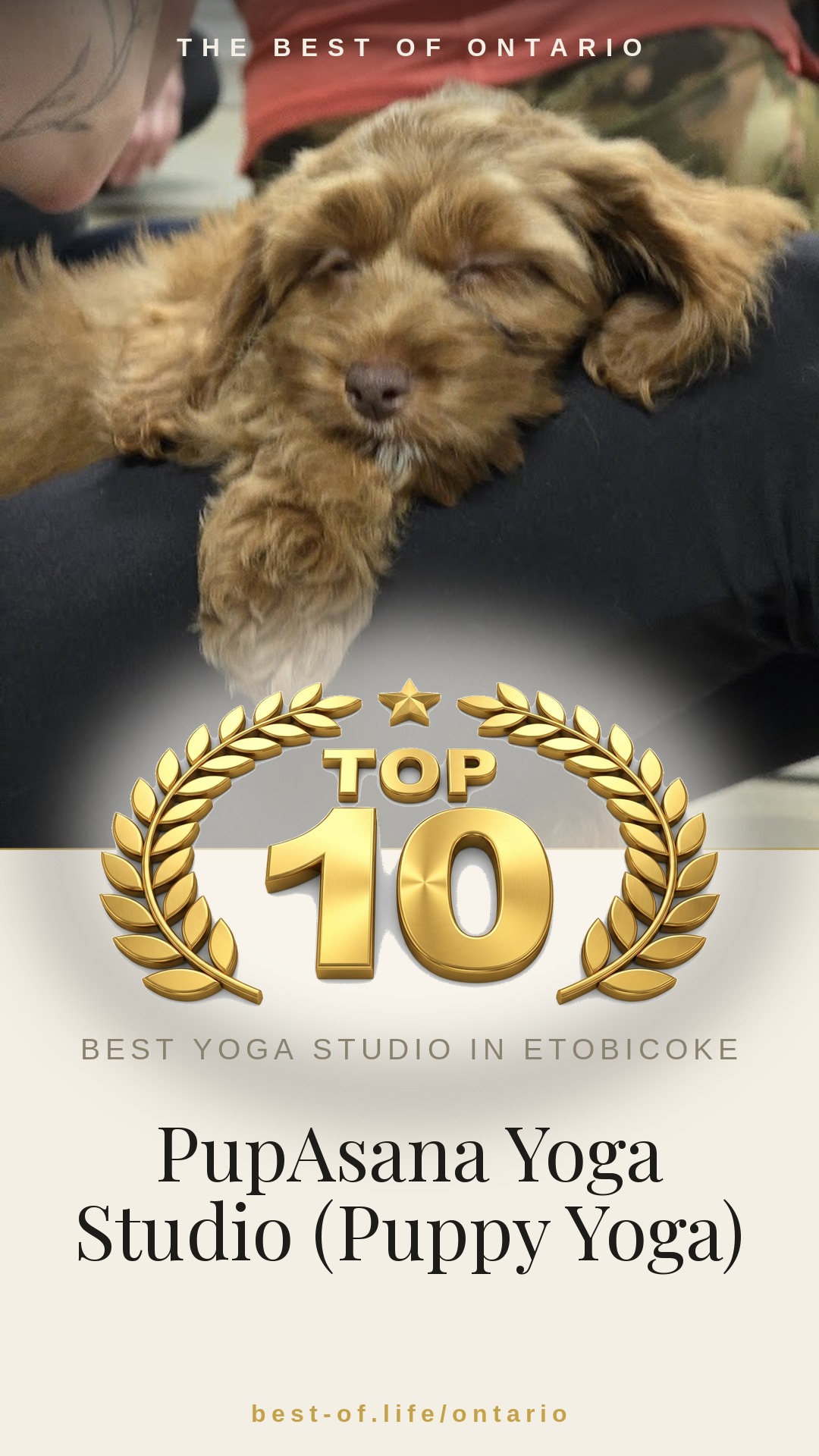 PupAsana Yoga Studio (Puppy Yoga) Instagram badge